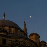 pexels-photo-11841335