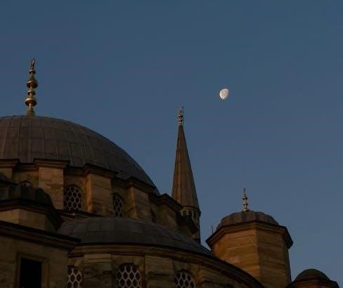 pexels-photo-11841335