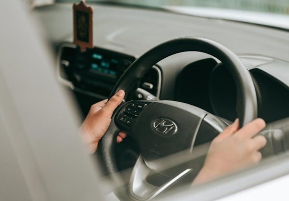 pexels-photo-19477337