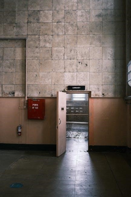 pexels-photo-16293863