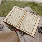 pexels-photo-29987163