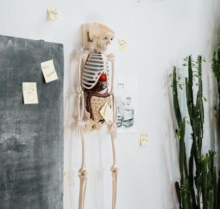 pexels-photo-8471922