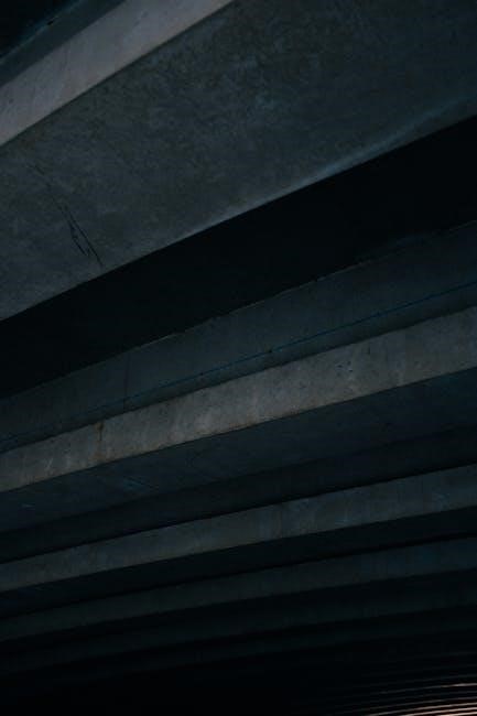 pexels-photo-9305339