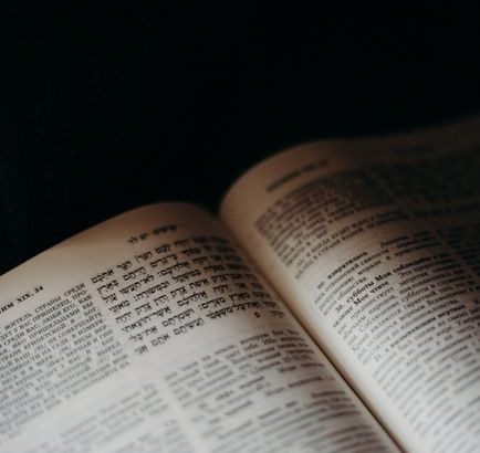 pexels-photo-4033820
